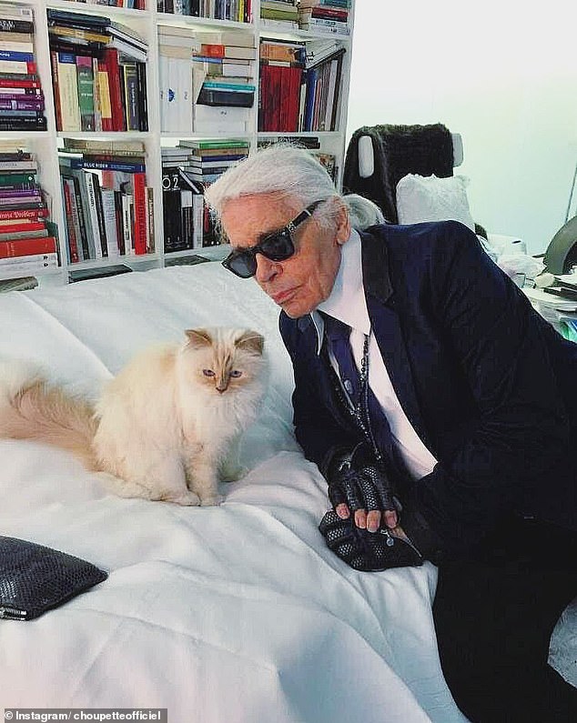 How is Karl Lagerfeld's cat Choupette doing now