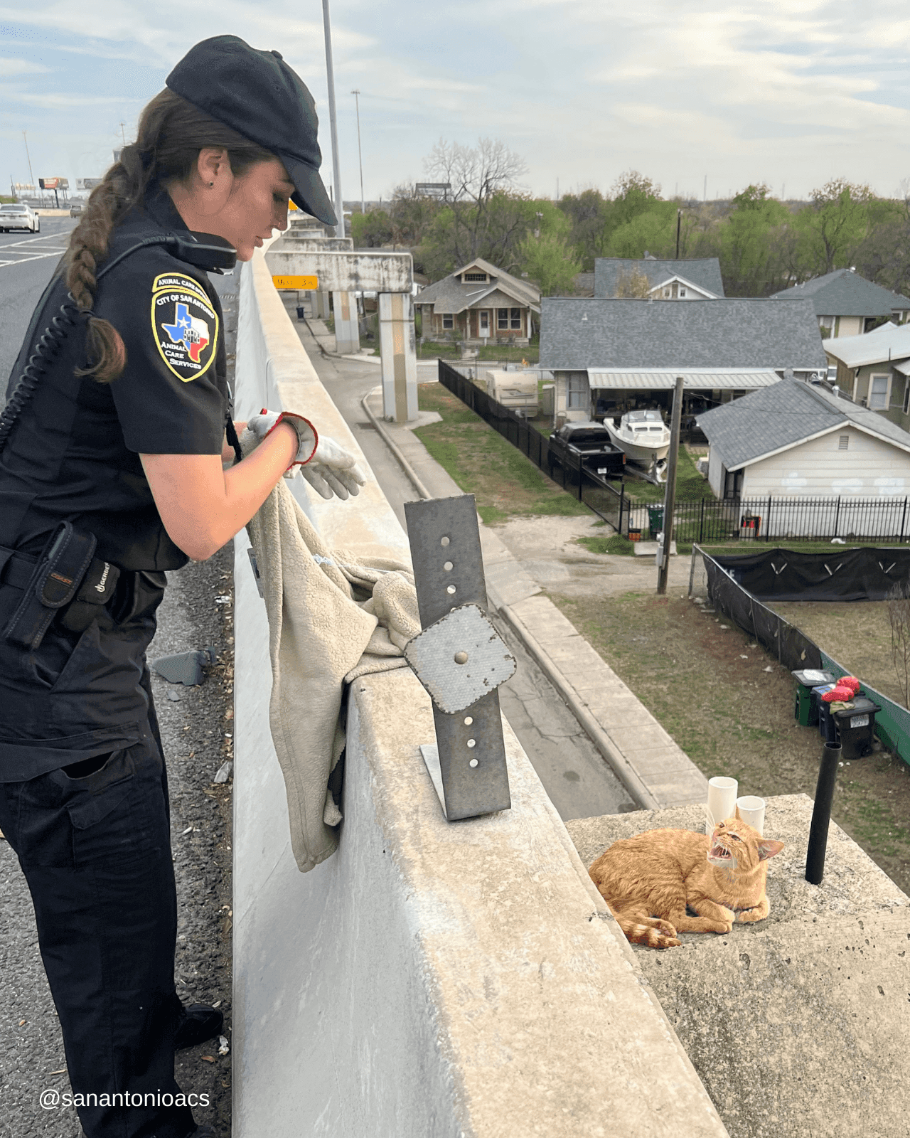 Nice action of the policewoman : Rescuing the cat from the ledge of the highway overpass despite the difficult height