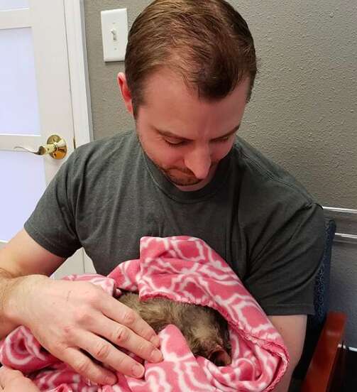 A Petite 'Wolf Pup' Discovered in Housing Complex Simply Craved for Some Cuddles - Yeudon