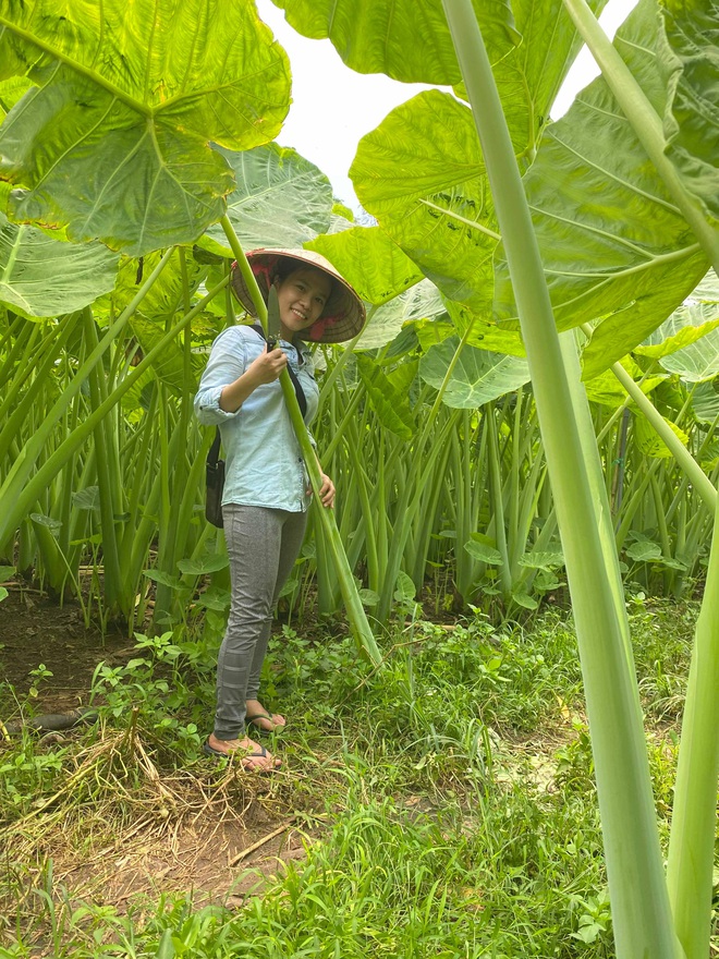 The Garden, Adorned by A Towering Mosquito Net That Surpasses Human Height, Sparks Social Media Frenzy with its Captivating Allure