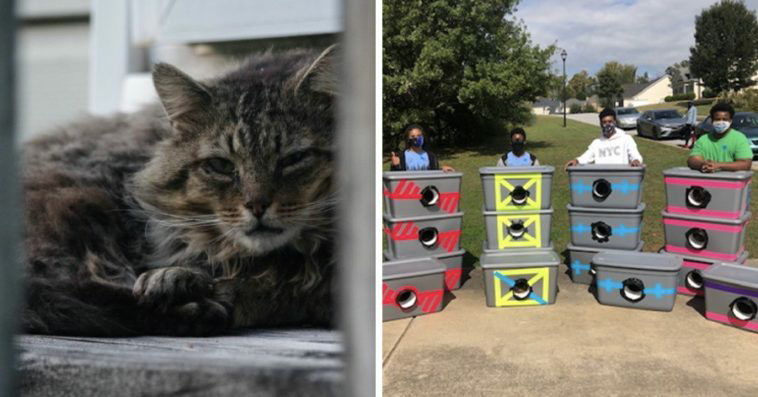 Boy scouts show kindness and compassion by creating shelters from storage totes to save stray cats from winter weather. - Lillise