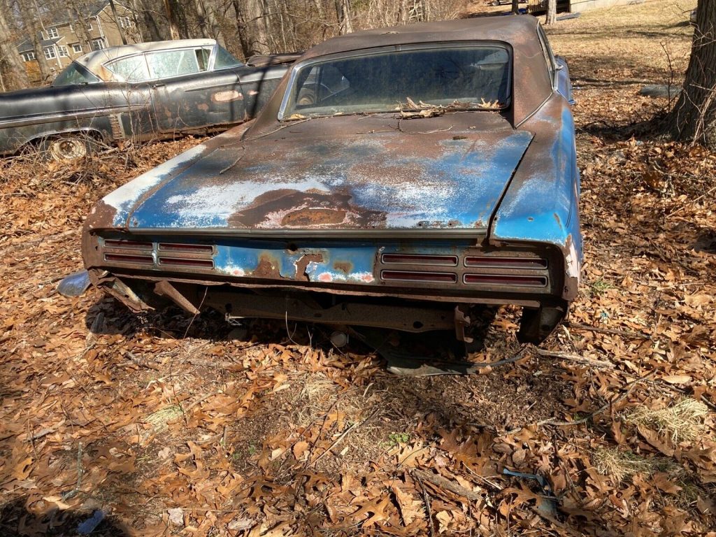 1967 Pontiac GTO Found in a Forest Hoping To Get a Second Chance