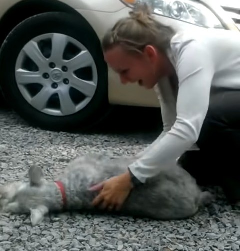 Joy Unleashed: Furry Friend's Heartwarming Reaction to Reuniting with Owner After 24 Months