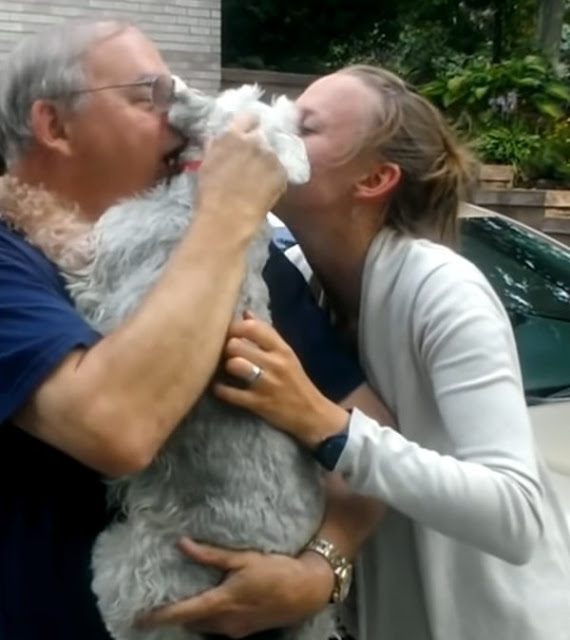Joy Unleashed: Furry Friend's Heartwarming Reaction to Reuniting with Owner After 24 Months