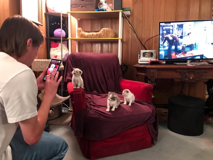 Flashing an adorable smile at the camera, a foster kitten captures hearts everywhere, going viral and spreading joy in every corner. - Lillise