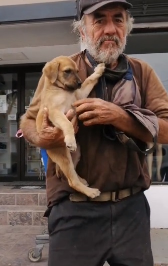 A homeless man pleads for help for his sick dog, emphasizing the bond and devotion between them, even in times of hardship. – newsvaults.com