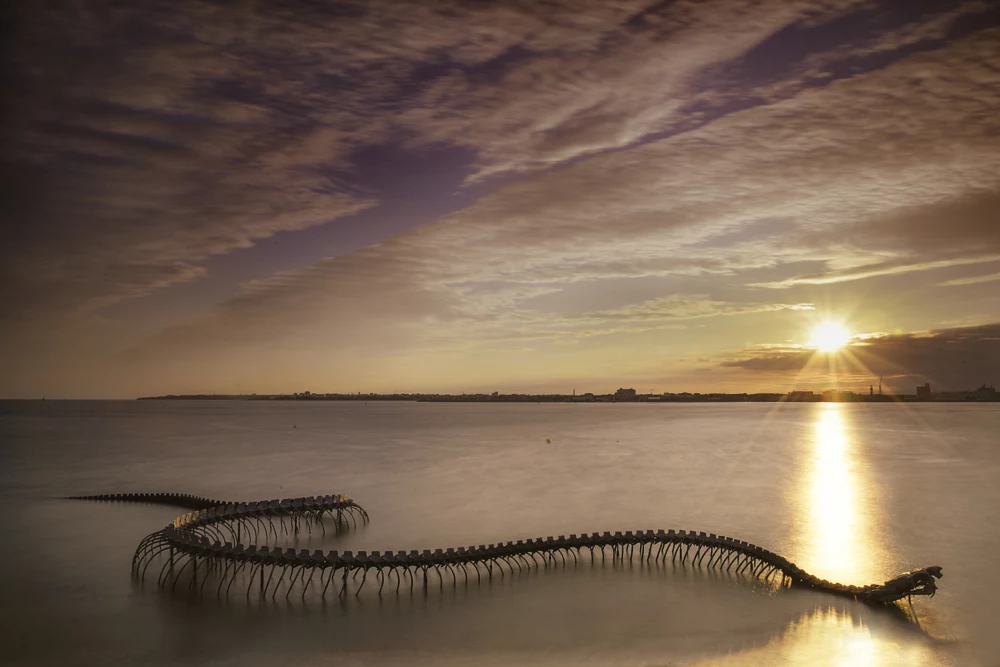 A Giant Twisting Serpent Skeleton Emerges from the Loire River in France