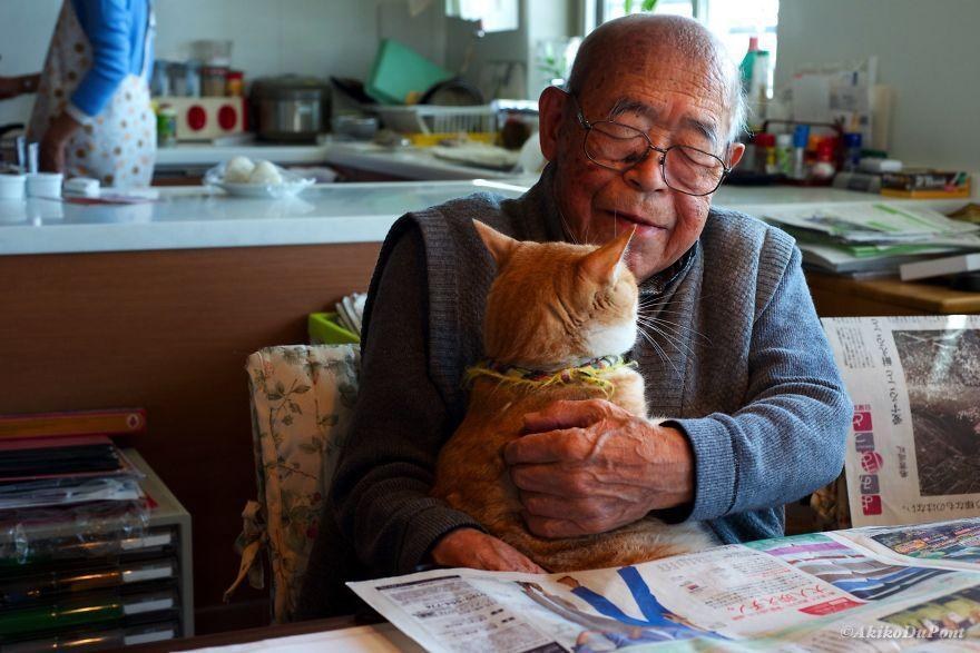 A Japanese girl gave her sick and grumpy grandpa a cat, and it transformed his life. – The News Volcano