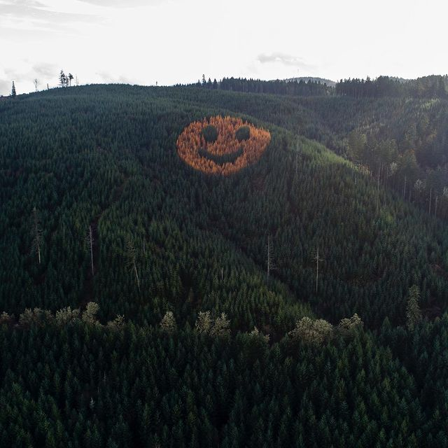 Giant Smiley Face on Oregon Hillside Is Made Up of Trees