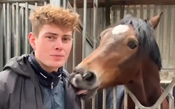 Horse Has Internet In Laughter After Demanding Kisses From Owner