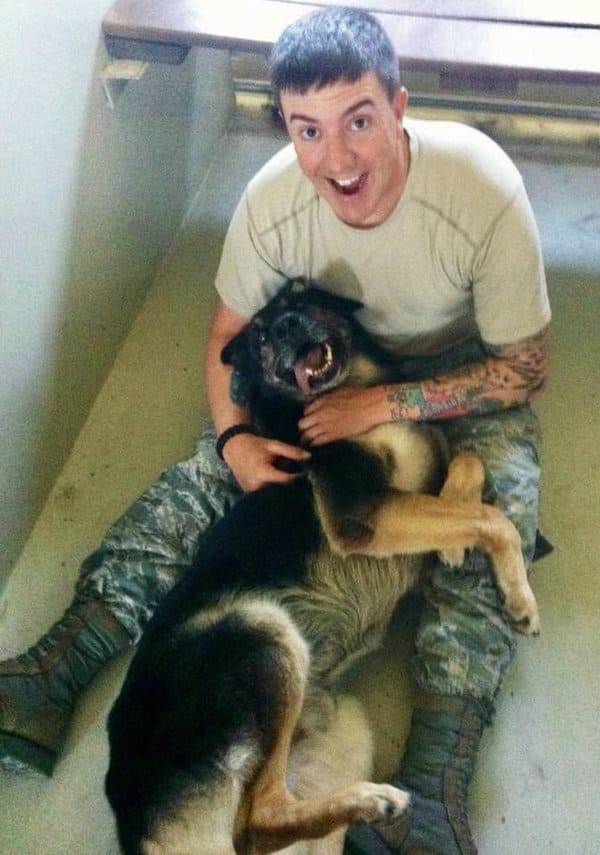 Soldier Gives His K-9 Partner One Last Hug, Stays With Him Until His Last Moments – News Breaking