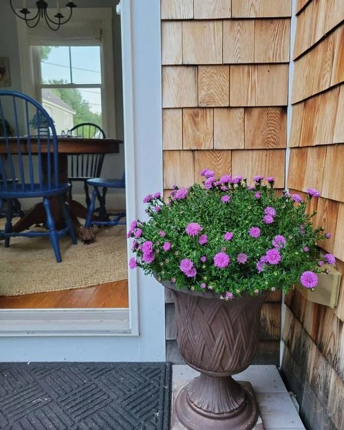 30 Stunning Front Porch Flower Pot Ideas