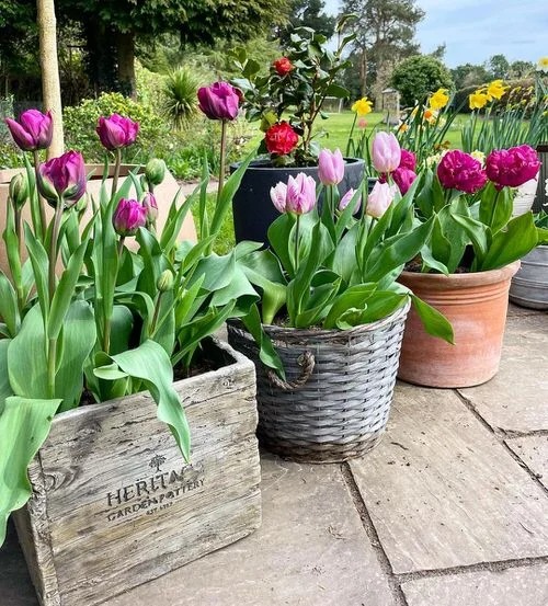 30 Stunning Front Porch Flower Pot Ideas