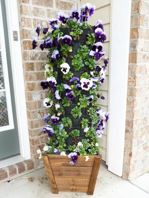 30 Stunning Front Porch Flower Pot Ideas