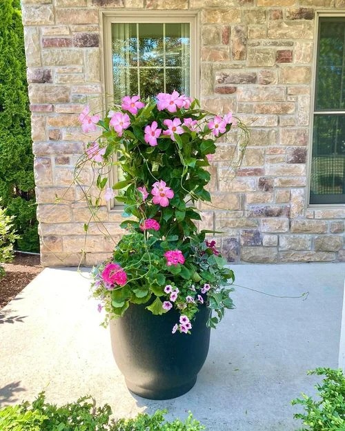 30 Stunning Front Porch Flower Pot Ideas