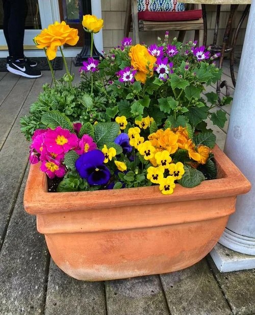 30 Stunning Front Porch Flower Pot Ideas