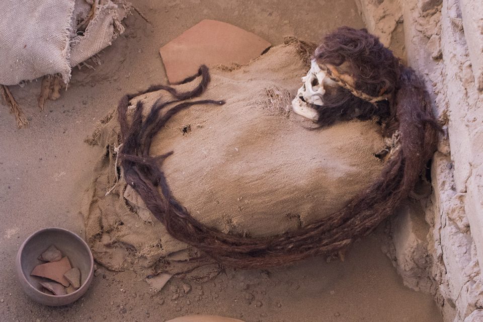 A Nazca Skull: The Mummified Shamans Sporting Long Dreaded Manes Of Hair