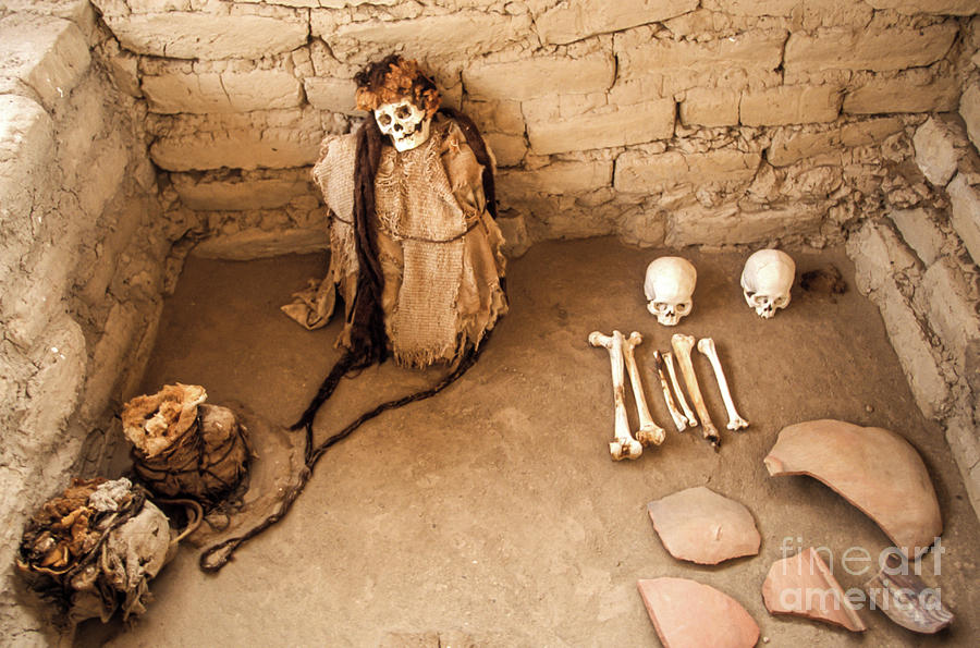 A Nazca Skull: The Mummified Shamans Sporting Long Dreaded Manes Of Hair