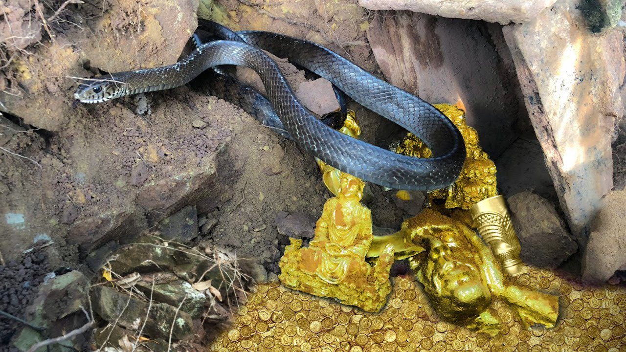 A Serpent Protector's Murmur Leads to the Discovery of the Unpatched Gold Fortune - Buzz News