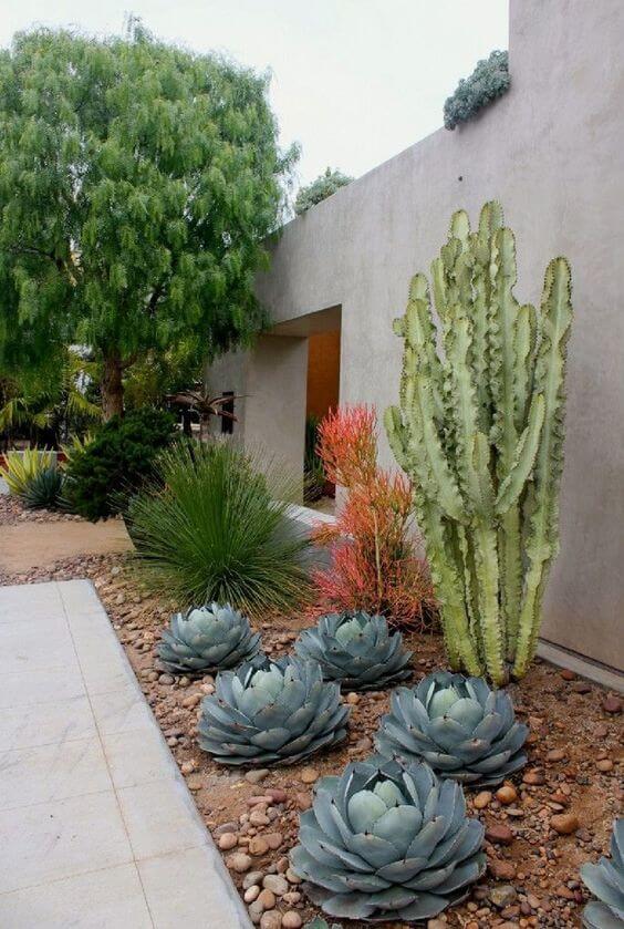 23 Breathtaking Desert Landscaping Ideas