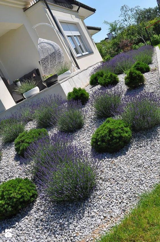 23 Breathtaking Desert Landscaping Ideas