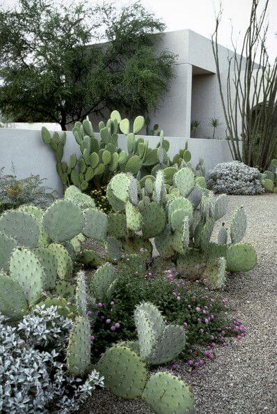 23 Breathtaking Desert Landscaping Ideas