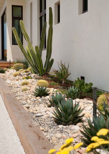 23 Breathtaking Desert Landscaping Ideas