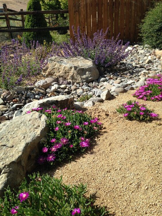 23 Breathtaking Desert Landscaping Ideas