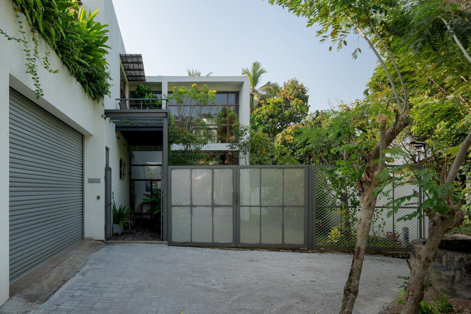 Square Concrete House. Live In Harmony With The Green Of Nature - NewsFeed