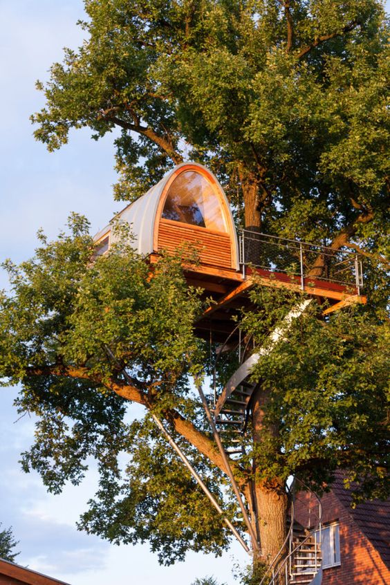 Elevated Escapes: Exploring the Enchanting World of Treehouses - Special 68