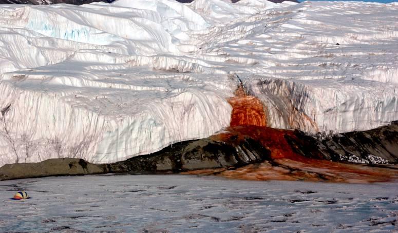 Blood Falls: Unveiling the Astonishing Natural Marvel in Antarctica - Amazing Nature