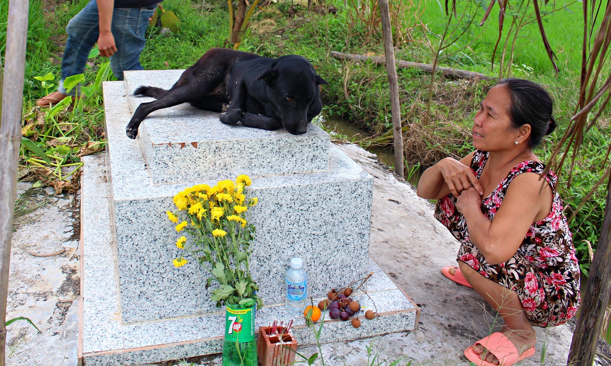 "Unconditional Loyalty: A Dog's Heartbreaking Tribute to a Little Angel Resting in Peace"