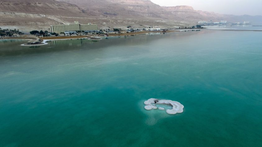 “Tree of Life” Grows on Salt Island in the Middle of the Dead Sea