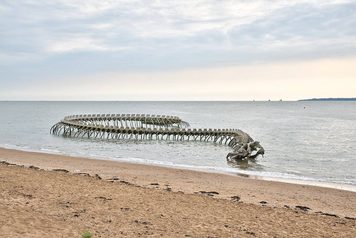 A Giant Twisting Serpent Skeleton Emerges from the Loire River in France