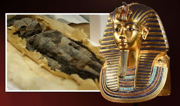 ‘Extraordinary’: Two mummified baby girls were discovered in King Tutankhamun's tomb, believed to be his daughters. - Mnews