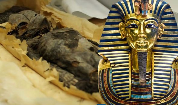 ‘Extraordinary’: Two mummified baby girls were discovered in King Tutankhamun's tomb, believed to be his daughters. - Mnews