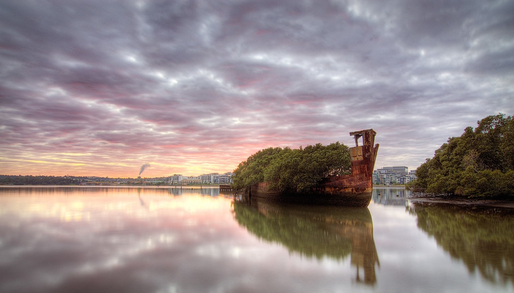 After Being Abandoned For 112 Years, The SS Ayrfield Ship Has Transformed Into A Floating Forest