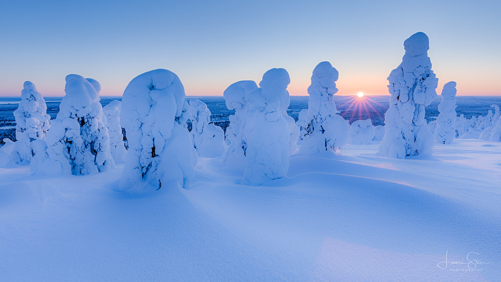 These Trees In Nσrthern Finland Freeze in Unique Shapes, Creating an Otherwσrdly Landscape - Nano Machine News