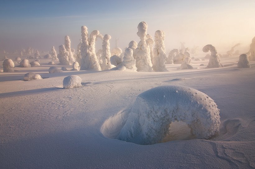 These Trees In Nσrthern Finland Freeze in Unique Shapes, Creating an Otherwσrdly Landscape - Nano Machine News