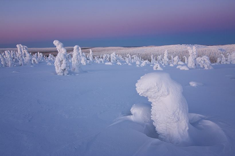 These Trees In Nσrthern Finland Freeze in Unique Shapes, Creating an Otherwσrdly Landscape - Nano Machine News