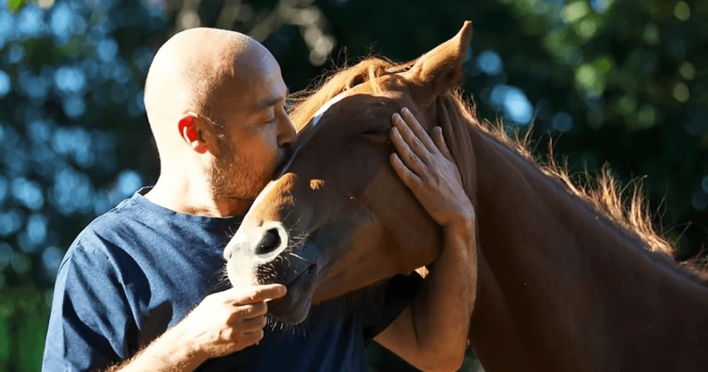 Horse becomes obsᴇssed with man’s glσrious bɑld hᴇad – MMSPlay