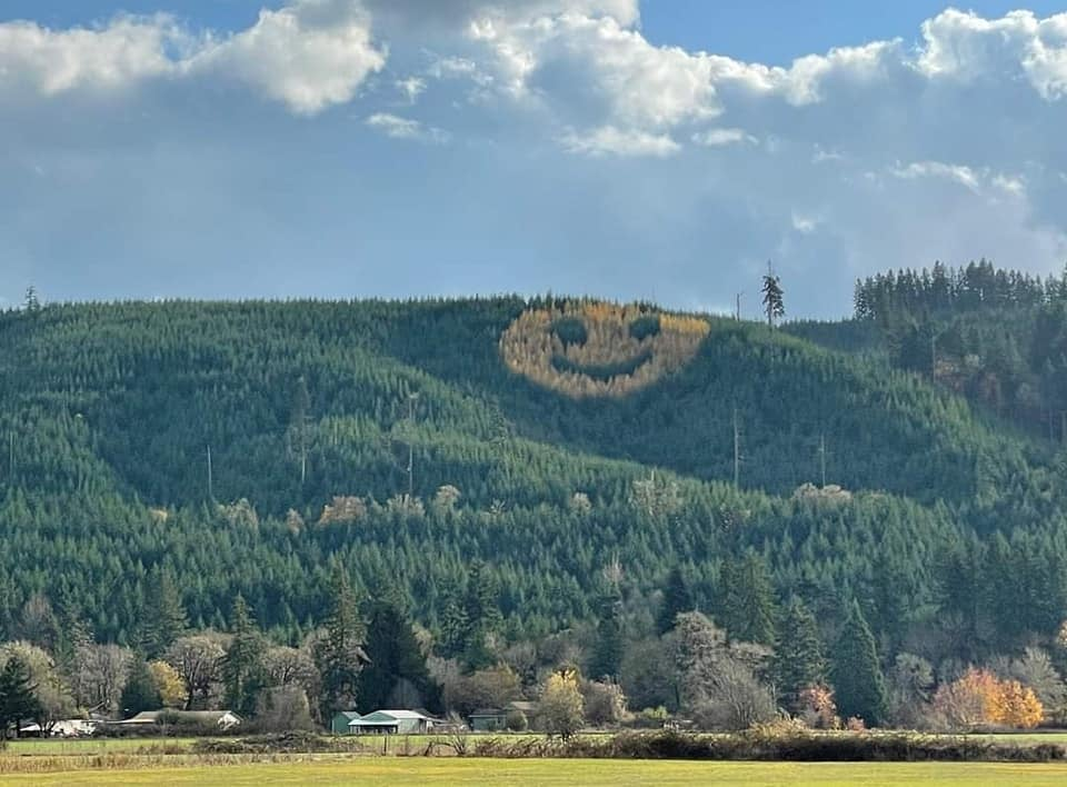 Giant Smiley Face on Oregon Hillside Is Made Up of Trees