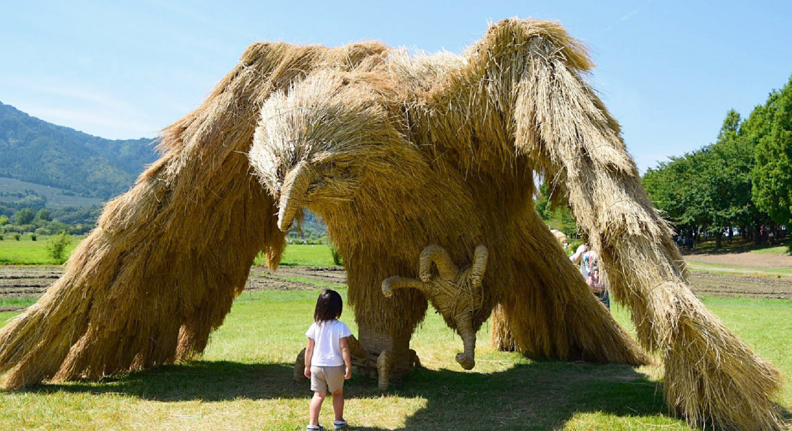 Making Artistic Masterpieces from Straw by Giving It Life - Buzz News