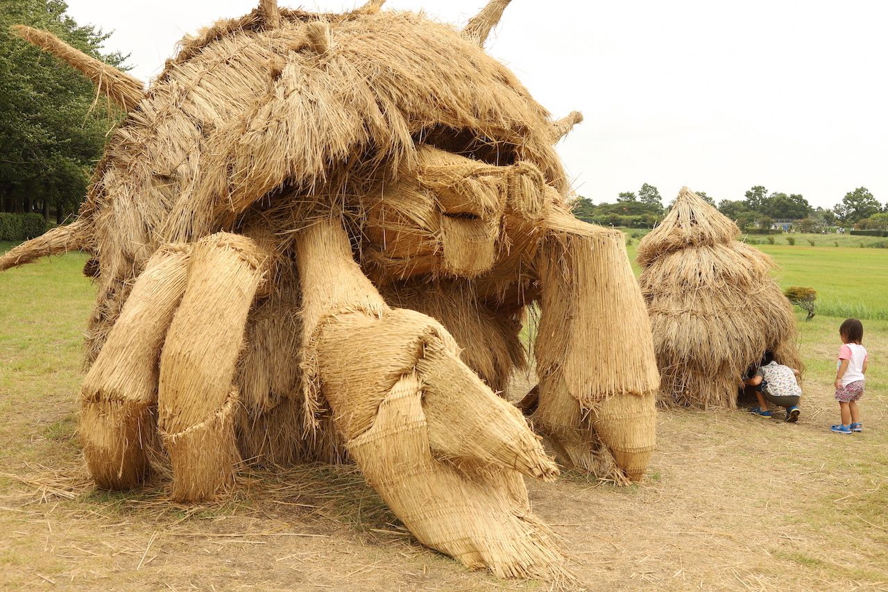 Making Artistic Masterpieces from Straw by Giving It Life - Buzz News