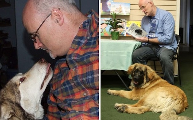 Man constructs a 4-acre fenced area for his 45 rescued dogs to play and run. tam - New Lifes