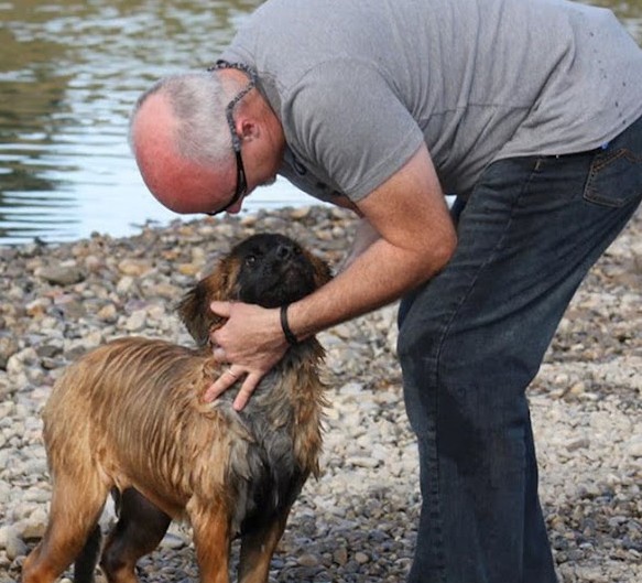 Man constructs a 4-acre fenced area for his 45 rescued dogs to play and run. tam - New Lifes