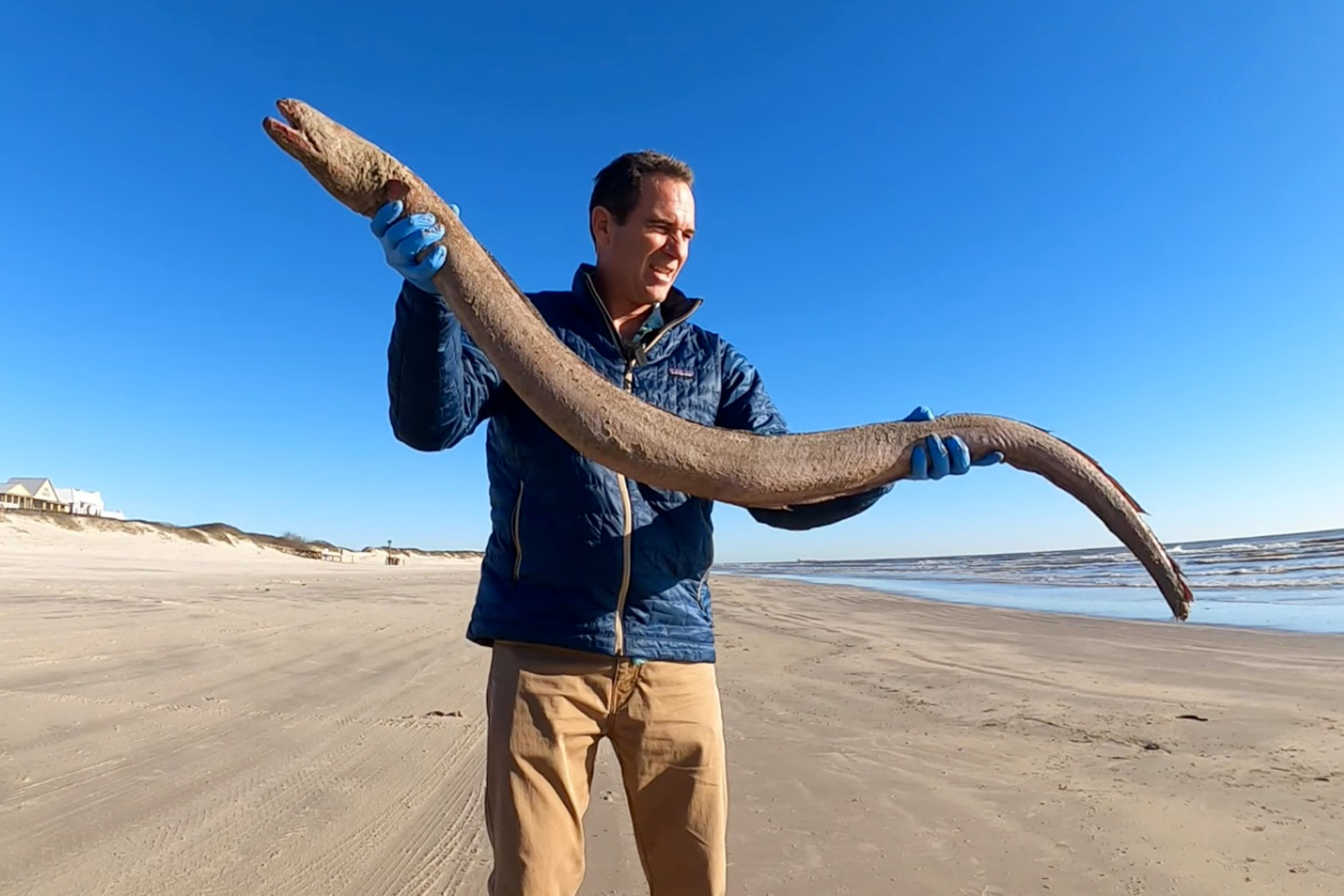 Rare 4-foot 'creature' washes up on coast despite usually living in rivers