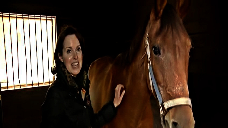 Rescue Horse Sees Her Forever Home For The First Time And Gets Emotional