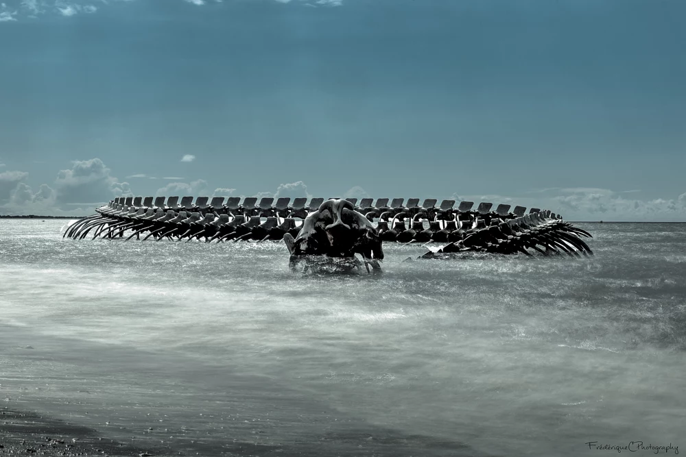 A Giant Twisting Serpent Skeleton Emerges from the Loire River in France