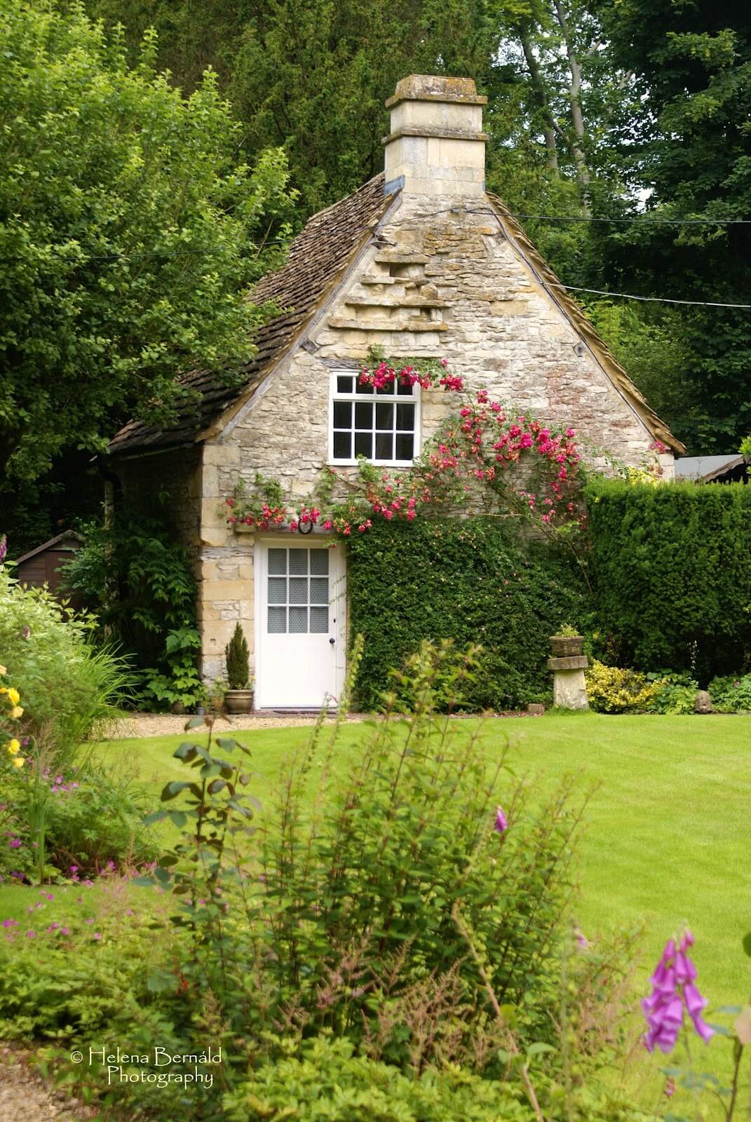 45+ Blooming Cottage Style Garden Ideas for a Charming Outdoor Space